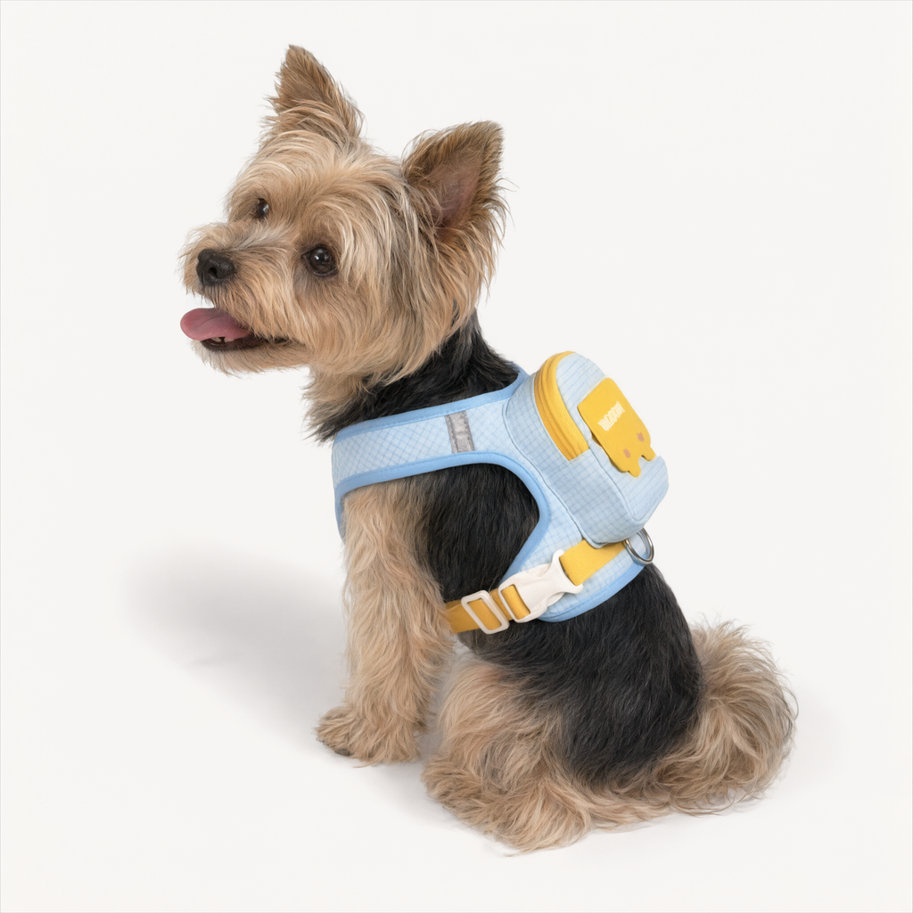 Adventure Pet Harness & Backpack Set – Reflective Escape-Proof Walking Vest