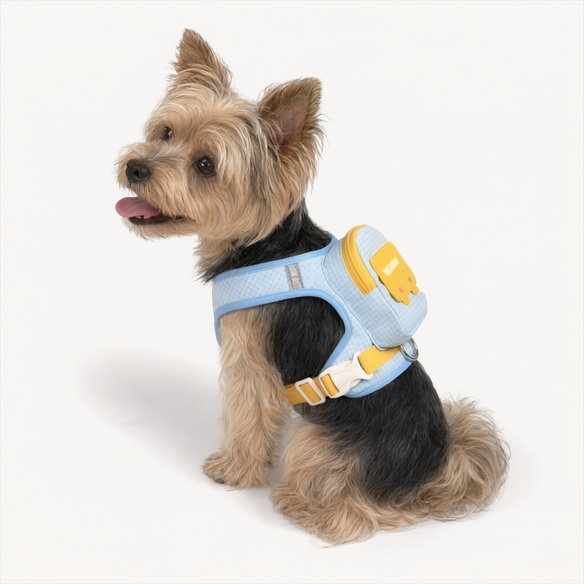 Adventure Pet Harness & Backpack Set – Reflective Escape-Proof Walking Vest